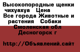 Высокопородные щенки чихуахуа › Цена ­ 25 000 - Все города Животные и растения » Собаки   . Смоленская обл.,Десногорск г.